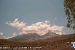 Gunung Lewotobi NTT tiga kali erupsi sepanjang hari Minggu