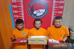 Sabu disamarkan dalam paket buah Kuini, Polisi tangkap kurir di Kotanopan