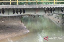 DLH Tangerang Selatan investigasi dugaan pencemaran aliran kali