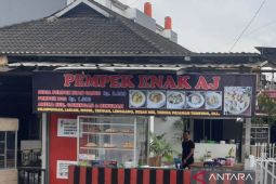 Pemkot Palembang manfaatkan duta gemar makan ikan tingkatkan konsumsi