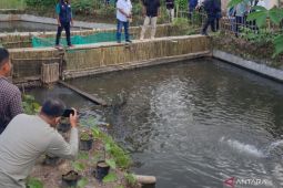 Kabupaten Banyuasin manfaatkan potensi perikanan budi daya