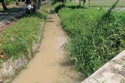 Pemkab Lebak dukung perbaikan daerah irigasi untuk swasembada pangan