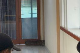 Viral! Macan Tutul Masuk Hotel Bandung, Petugas Panik Evakuasi Gunakan Bius dan Jaring Besi