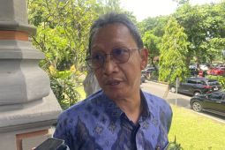 Pemprov tegaskan belum ada penentuan lokasi bandara di Bali Utara