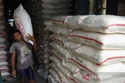 Kondisi perberasan 2026, antara produksi dan tuntutan transformasi