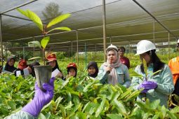 PT Vale jadi pilihan belajar pengelolaan lingkungan bagi siswa SD