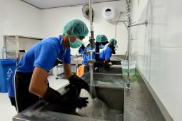 Dapur SPPG di Lampung jaga higienitas dengan bersihkan ompreng berlapis