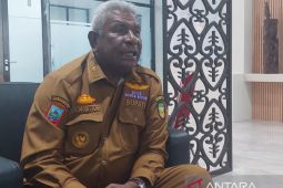 Pemkab Mimika antisipasi dampak terhentinya operasi PT Freeport