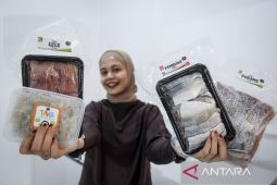 Kontribusi program MBG untuk pelaku UMKM