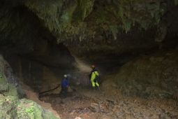 Menjelajahi kegelapan Gua Kafir: Keheningan ekosistem yang terancam