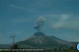Gunung Lewotobi NTT melontarkan abu setinggi 2000 meter pada Selasa dinihari