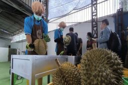 Kadin Parimo: Regulasi bersama perkuat investasi dan ekonomi daerah