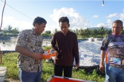 Itera ciptakan teknologi tambak udang berbasis IoT