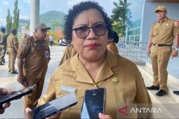 Pemprov sebut ekspor kayu Papua kini bisa langsung ke Shanghai