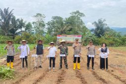 Bulog Palopo dan Polres Lutim tanam jagung serentak dukung swasembada pangan
