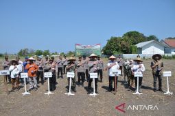 Harga jagung tingkat petani Situbondo di atas HPP
