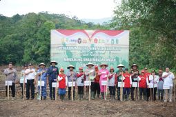 Pemkab Bengkayang dorong produktivitas pangan lewat penanaman jagung