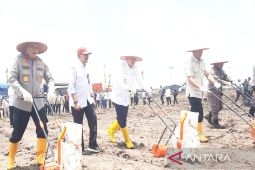 Kapolri jadikan Polda Kalsel contoh keberhasilan budidaya jagung di lahan basah