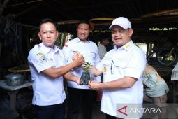 Kemenkum Babel tindak lanjuti penetapan indikasi geografis teh tayu