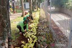 Pemkot Jaktim lakukan penataan ulang Taman Flamboyan sebelum dibuka 24 jam