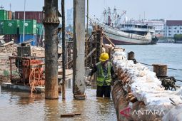 BMKG keluarkan peringatan banjir rob di pesisir Jakarta