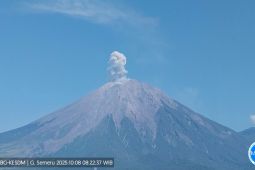 Semeru erupsi dengan tinggi letusan 700 meter di atas puncak