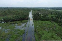 Masyarakat Adat Dayak Sunge Samak menghadapi krisis gambut dan ruang hidup