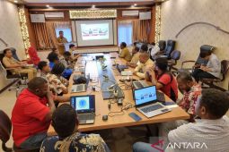 DPMPTSP Papua Barat target penerbitan 420 NIB rampung sebelum Desember