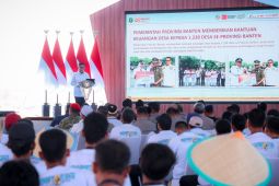 Banten surplus pangan di 2025, siap wujudkan swasembada