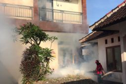 Pemkot Denpasar lakukan pengasapan ULV di 39 titik tekan kasus DBD