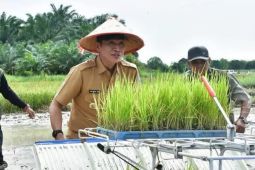 Pemkab Batang Hari berikan alat pertanian