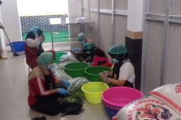 Program MBG di Lebak serap 4.815 tenaga kerja