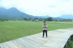 Pemkot Singkawang kembangkan agro-eduwisata sawah sebagai wisata baru