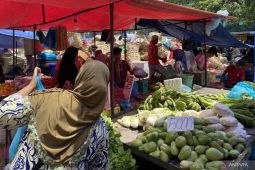 DKPP Batam periksa kadar pestisida pada komoditas segar di dapur SPPG