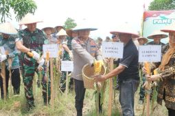 Polda Lampung berkontribusi untuk perkuat program ketahanan pangan