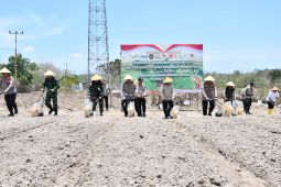 Polda NTT tanam jagung di 1.111 ha