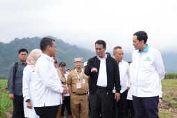 Mentan targetkan bongkar ratoon capai 80.053 hektare di Jawa