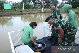 Batalyon 762 Sorong pacu produktivitas prajurit lewat pertanian terpadu