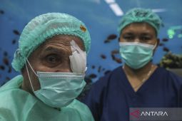 HUT ke-356 Sulsel, Pemprov gelar operasi katarak gratis