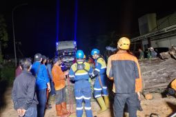 Tagana Tasikmalaya mengingatkan warga waspadai bahaya pohon tumbang