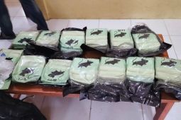 Tim gabungan  gagalkan penyelundupan 13 kg sabu di perbatasan