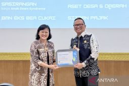 Kemenkeu lelang 493 lot barang senilai Rp75 miliar di Kalsel