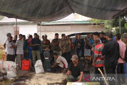 BI dorong optimalisasi penerapan pertanian organik di Manokwari