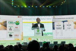 Menteri ESDM kirim tim ke India untuk pelajari PLTS murah