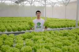 Petani milenial Lumajang dapat berkah dari program MBG