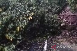 Jalur selatan Cianjur putus sementara akibat tertimbun tanah longsor