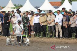 BP Taskin menguji coba program sistem pertanian digital di Cirebon