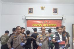 Polisi Jambi ringkus sembilan pelajar  terlibat geng motor