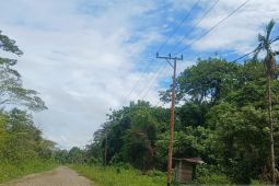 Pemkab Mimika dukung PLN segera listriki seluruh desa di Distrik Agimuga