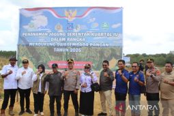 Pemkab Tanjabar - WKS wujudkan ketahanan pangan dengan tanam jagung